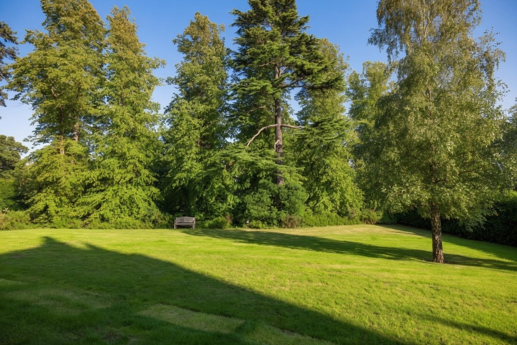 garden